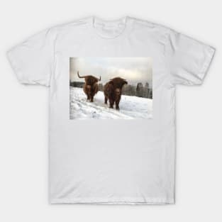 Scottish Highland Cattle Cow and Calf 1854 T-Shirt